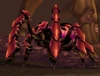 Hive'Regal Slavemaker