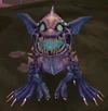 Oracle Orphan