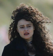 Bellatrix Deathly Hallows