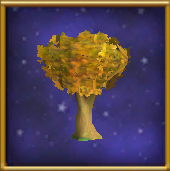 Elm Tree