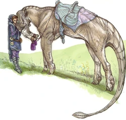 Tusk-Cat1.jpg