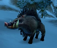 Image of Elder Crag Boar