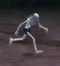 Splinterbone Skeleton