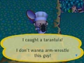 I caught a trantula!.jpg