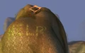 HELP.jpg