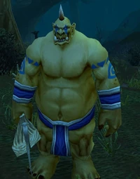 Image of Splinter Fist Ogre