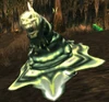 The Rot