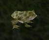 Forest Frog