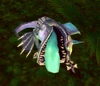 Injured Rainspeaker Oracle