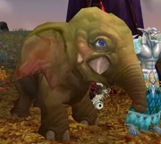 Orphaned Mammoth Calf.jpg