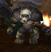 Shaman Partak