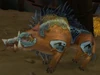 Boar Spirit