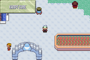 Pokemon Smaragd - Kampfzone