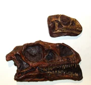 Massospondylus & baby