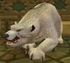 Stabled Hunter Pet Bear