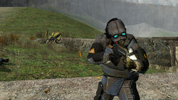 Soldier antlion