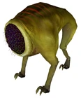 Houndeye mi