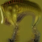 Houndeye-body