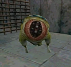 Houndeye eyelid2