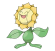 Sunflora