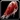 Inv misc food 72