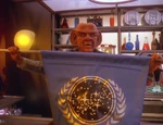 Föderationsbanner Quarks