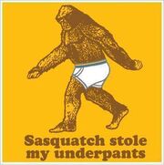 User BigfootUndies