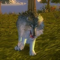 Image of Prowler