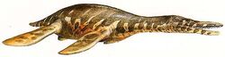 Pliosaurus clip image031