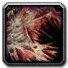 Inv misc pelt wolf ruin 03.png