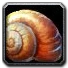 Inv misc shell 04.png