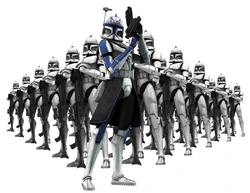 Rex Torrent.jpg