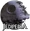 Wiki