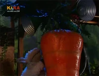 Folge2495-5