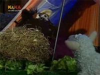 Folge2495-6