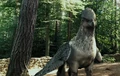 Buckbeak.JPG