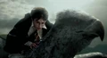 Buckbeak1.JPG