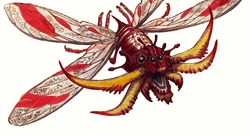 Piranhakäfer.jpg