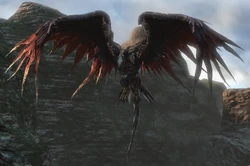 BlackwingSWRoad