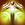 Icon shapeshifter