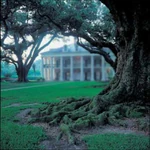 Themansion.jpg