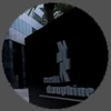 MainOrganizations