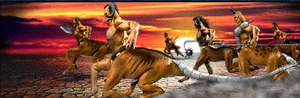 Centauros
