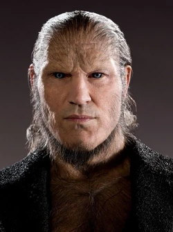 PromoHP6 Fenrir Greyback