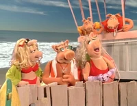 BayPigswatch101