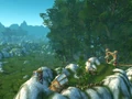 Desolace cataclysm1.jpg