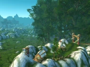 Desolace cataclysm1