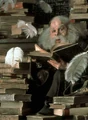 PromoHP1 Filius Flitwick.jpg