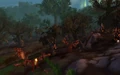 The Savage Thicket.jpg