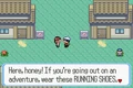 Ruby-Sapphire Littleroot Town 9.png